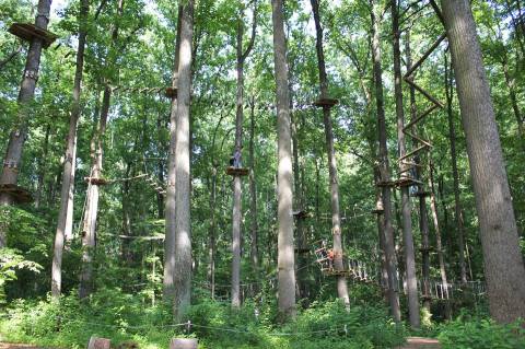 Try A Ropes Course, Ride A Zip Line, Enjoy Nature, And More All At TreeRunner Adventure Park Near Detroit