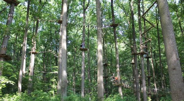 Try A Ropes Course, Ride A Zip Line, Enjoy Nature, And More All At TreeRunner Adventure Park Near Detroit