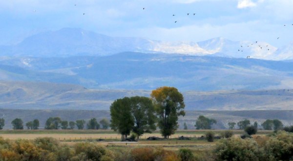 Each Fall In Wyoming, The Seedskadee National Wildlife Refuge Comes Alive With Soaring Bald Eagles