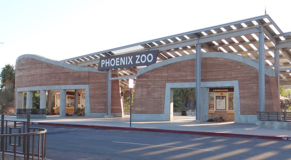 Explore Phoenix Zoo After Hours At The Adults-Only Roars & Pours Event In Arizona