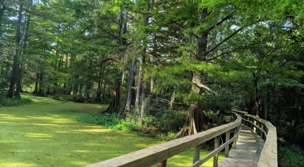 Explore Over 400 Acres Of Swamps and Marshes At The Northlake Nature Center Near New Orleans