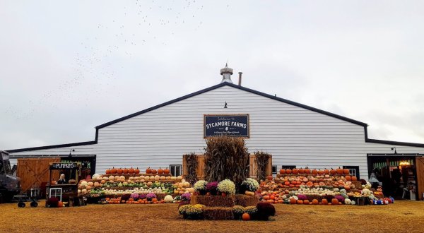 You Could Spend Hours At Junkstock, A Gorgeous Fall Flea Market In Nebraska