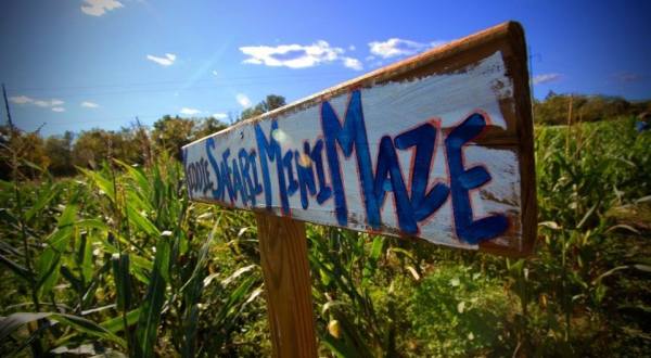 Your Family Will Love The Biggest And Hardest Corn Maze Near Nashville At Fiddle Dee Farms