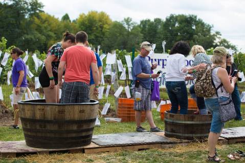 Stomp Your Own Grapes And Celebrate Wine At The Purple Foot Festival In New York