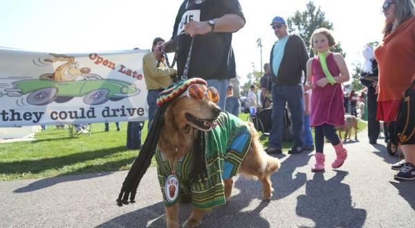 The Spooky Pooch Parade Is One Of Greater Cleveland’s Most Adorable Fall Traditions