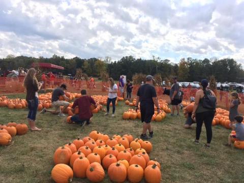 Nothing Says Fall Is Here More Than A Visit To Red Wagon Farm Near Cleveland