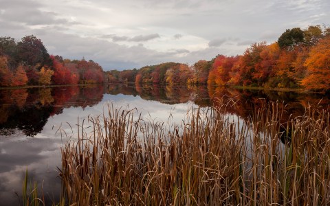 Take These 9 Fantastic Fall Hikes In Rhode Island To Get Your Leaf-Peeping Fix