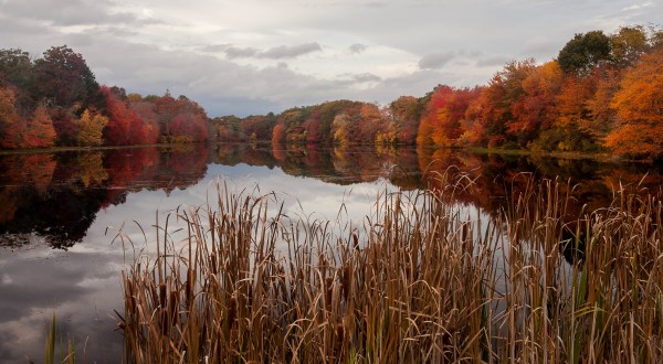 Take These 9 Fantastic Fall Hikes In Rhode Island To Get Your Leaf-Peeping Fix