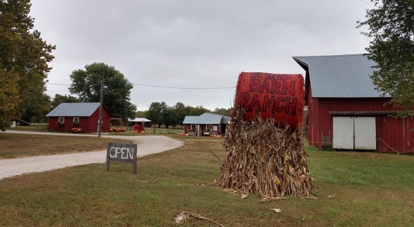 Spend A Charming Fall Day Pumpkin Picking At Red Barn Ranch In Missouri