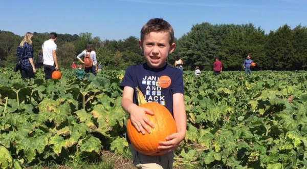 You Could Spend Hours In The Giant Pumpkin Patch At Carrigan Farms In North Carolina