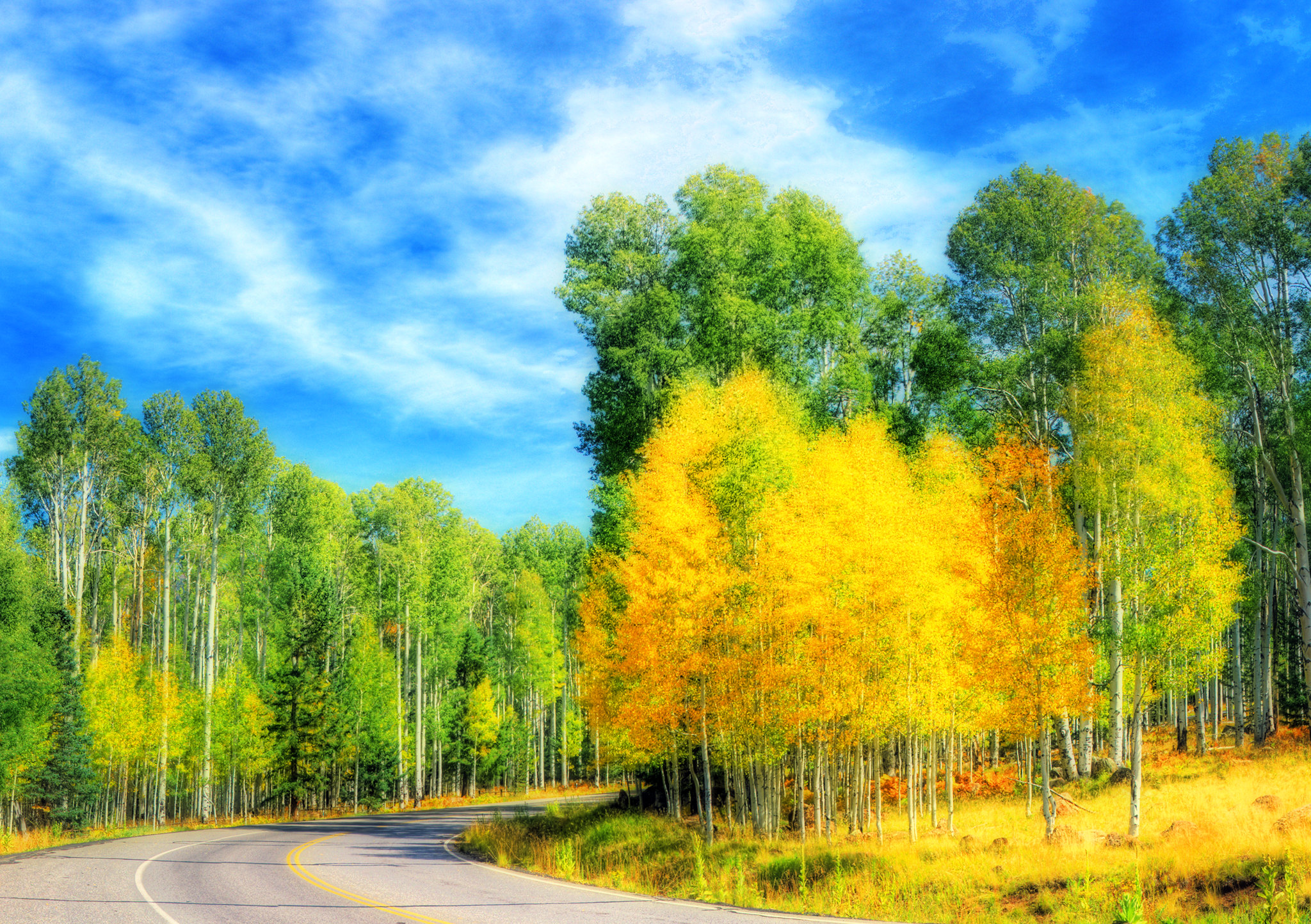 When Fall Foliage Peaks In Arizona And Where To See It