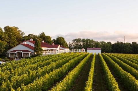 Immerse Yourself In 91 Acres Of Charm At Brys Estate Vineyard And Winery In Michigan