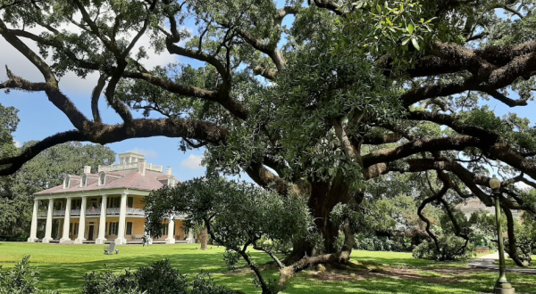 Few People Know About The Haunted Oak Trees At The Houmas House In Louisiana