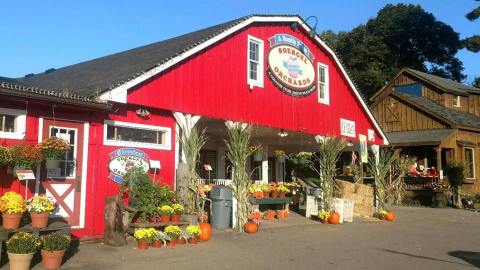 Try The Piping Hot Donuts And Cider From Soergel Orchards Near Pittsburgh