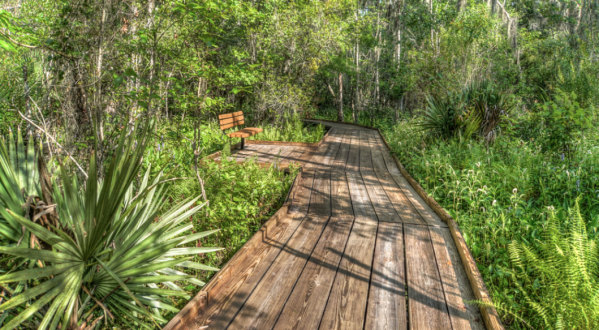 You’ll Love The Endless Maze Of Boardwalk Trails At Barataria Preserve In Louisiana