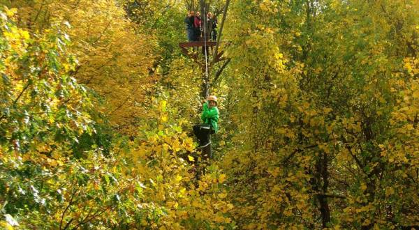 Zipline Through A Canopy Of Colorful Changing Leaves At Empower Adventure Center In Connecticut