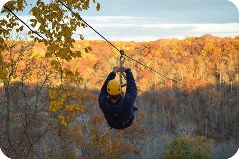 Zipline Through A Canopy Of Colorful Changing Leaves At Ozone Zipline Adventures Near Cincinnati