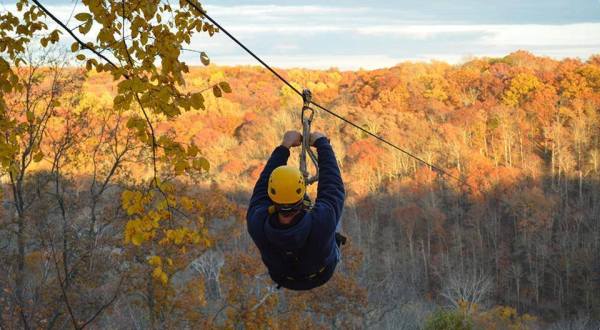 Zipline Through A Canopy Of Colorful Changing Leaves At Ozone Zipline Adventures Near Cincinnati
