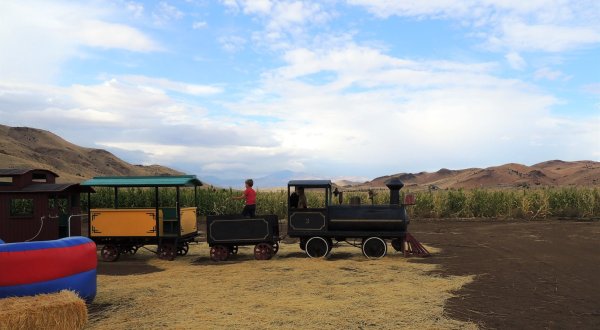 The Pumpkin Patch Train Ride At Silver Valley Farm In Nevada Is Perfect For A Fall Day