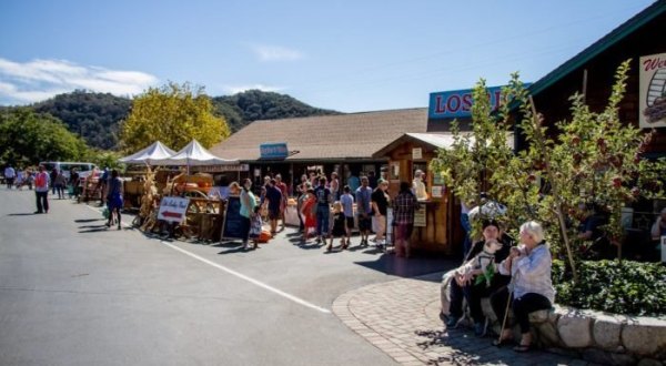 Visit Los Rios Rancho, A 300-Acre U-Pick Apple Farm In Southern California