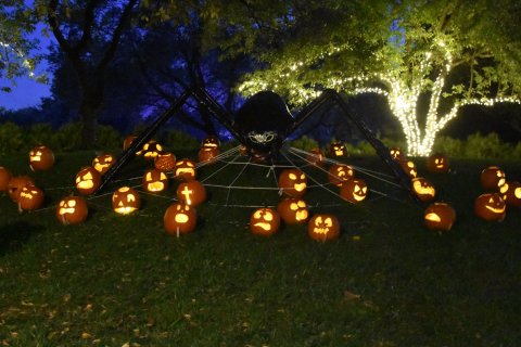 For A Halloween Adventure In Kansas, Take Botanica's Spooky Jack-O-Lantern Walk