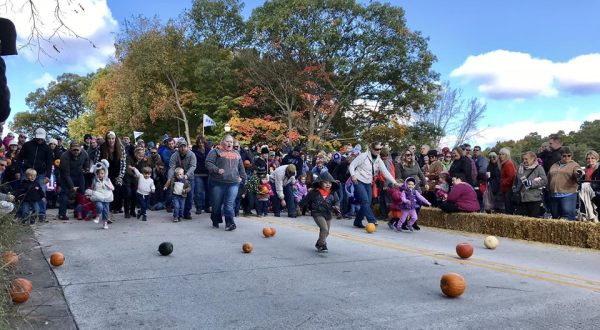 The Tiny Michigan Town Of Montague That Transforms Into A Pumpkin Wonderland Each Year