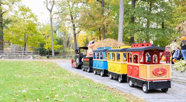 Celebrate Fall With A Visit To Michigan’s Wildly Wonderful Boo At The Zoo Event