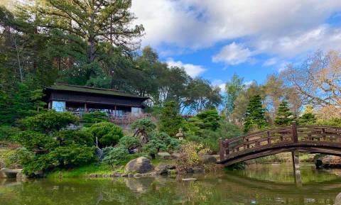 Plan A Tranquil Outing At Northern California's Oldest Japanese Garden, The 18-Acre Hakone Gardens