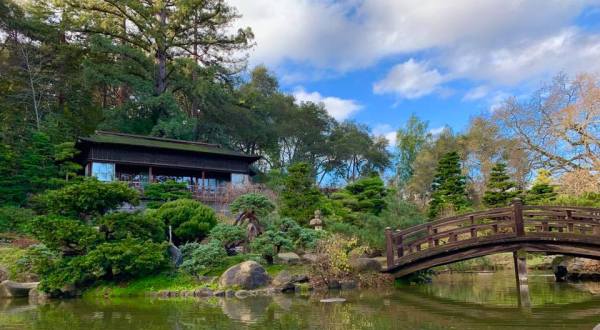 Plan A Tranquil Outing At Northern California’s Oldest Japanese Garden, The 18-Acre Hakone Gardens