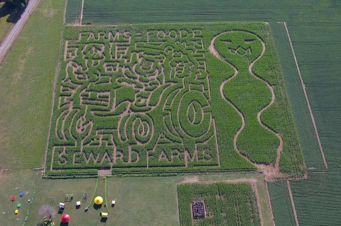 The 8-Acre Corn Maze At Seward Farms In Mississippi Is Full Of Corn-Fusing Fun