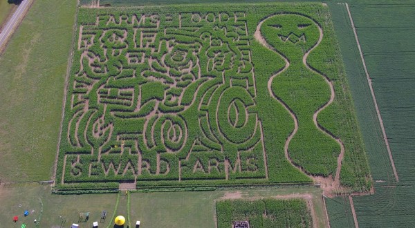 The 8-Acre Corn Maze At Seward Farms In Mississippi Is Full Of Corn-Fusing Fun