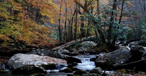 Laurel Falls In Tennessee Will Soon Be Surrounded By Beautiful Fall Colors