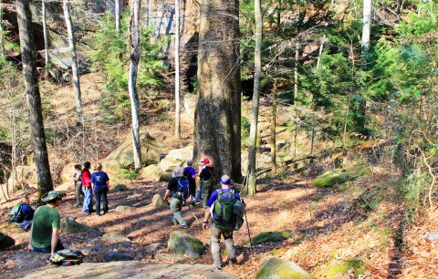 People Travel From All Over The US To Hike At Sipsey Wilderness, Alabama's Largest Wilderness Area