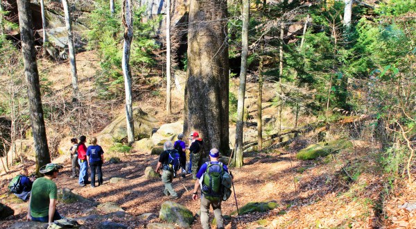 People Travel From All Over The US To Hike At Sipsey Wilderness, Alabama’s Largest Wilderness Area