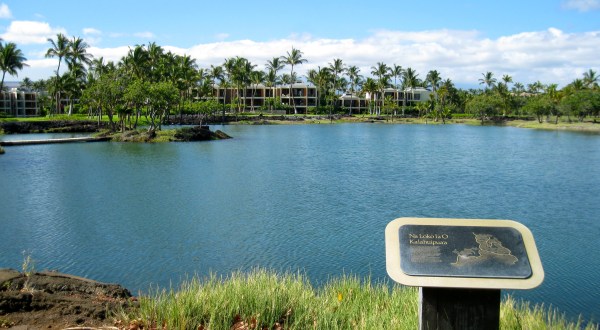 Discover Seven Ancient Fishponds And Other Coastal Gems In Hawaii’s Kalahuipua’a Historic Park