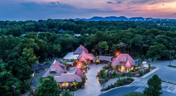 Spend The Night At The Nashville Zoo For An Evening Of Wild Fun