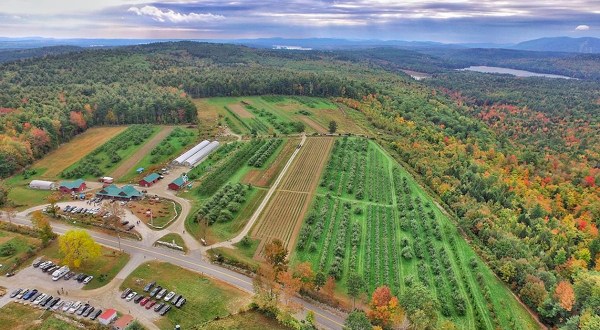 Take A Trip To These 9 Charming Orchards In Maine This Season
