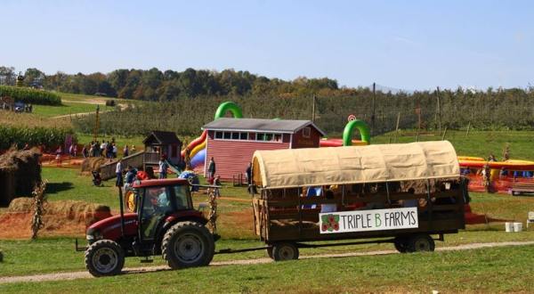 Eat Fudge, Pick Pumpkins, And Go On A Hay Ride At Triple B Farms Near Pittsburgh