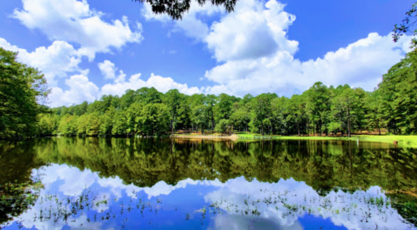 You’ll Feel Like You’re Miles Away From It All At Stuart Lake Campground In Louisiana