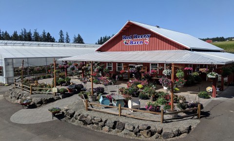 Try The Piping Hot Donuts And Apple Cider From Red Berry Barn In Oregon