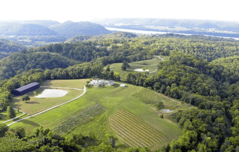 Sip Wine With Alpacas At River Valley Winery In Kentucky