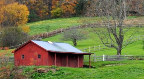 See Some Of The Best Fall Foliage On Vermont’s Route 100 This Autumn