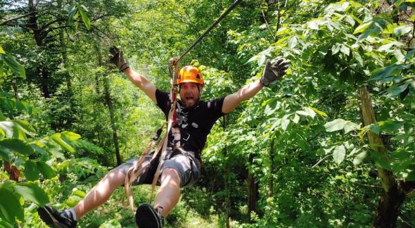 Zip And Sip On A Canopy And Brewery Tour With Boone Creek Outdoors In Kentucky