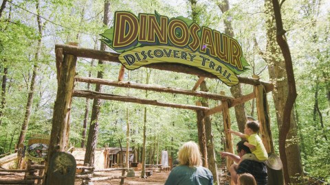 Walk Among Dinosaurs When You Take The Interactive Nature Trail At The Virginia Living Museum