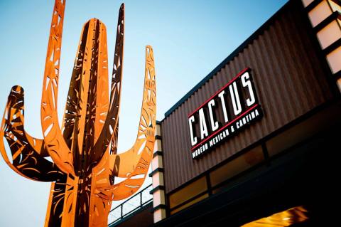 Treat Your Tastebuds To 9 Different Types Of Tacos At Cactus, A Nebraska Cantina