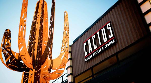Treat Your Tastebuds To 9 Different Types Of Tacos At Cactus, A Nebraska Cantina