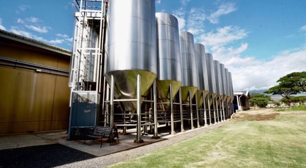 The Largest Craft Brewery In Hawaii Is Maui Brewing Company And Their Tours Are Phenomenal