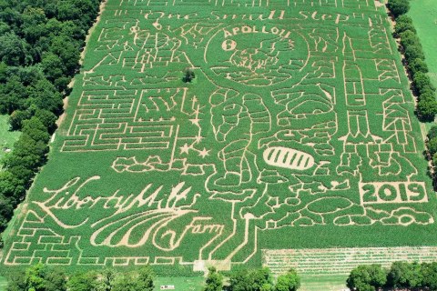 Get Lost In Virginia's Largest, Most Intricate Corn Maze When You Visit Liberty Mills Farm