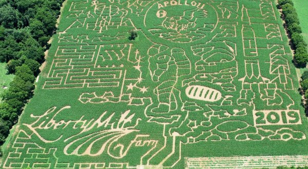 Get Lost In Virginia’s Largest, Most Intricate Corn Maze When You Visit Liberty Mills Farm