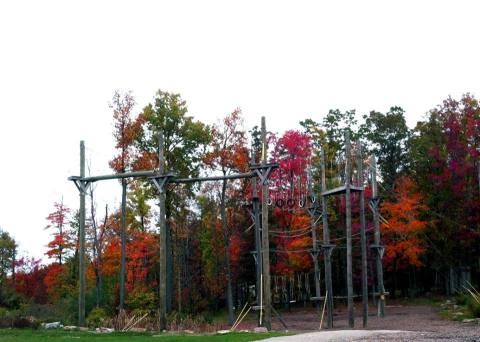 Zipline Through A Canopy Of Colorful Changing Leaves At Nemacolin Woodlands Resort Near Pittsburgh